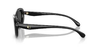 Coach Sunglasses HC8448U