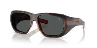 597487 Shiny Dark Havana