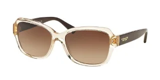 Coach Sunglasses HC8160