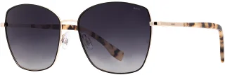 C02 Black/Gold