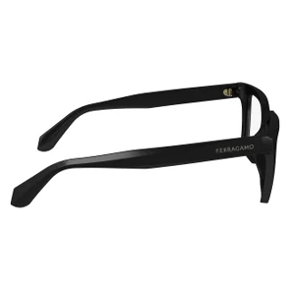 Salvatore Ferragamo Eyeglasses SF2985N