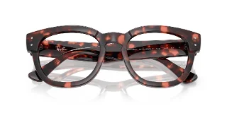 Ray Ban Eyeglasses RX0298VF