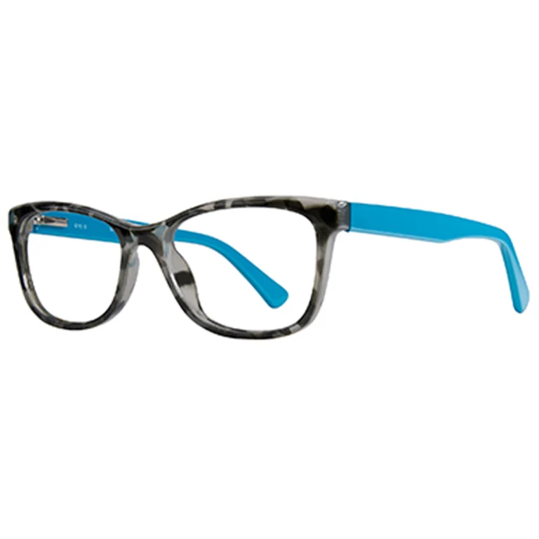 Stylewise Eyeglasses SW451