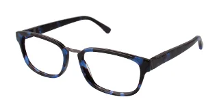 Ted Baker Eyeglasses B885