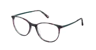 S404-K-821 Ocean Tortoise