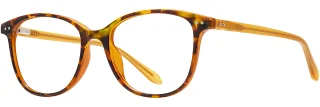C02 Orange Tortoise