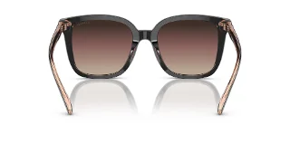 Coach Sunglasses HC8381F