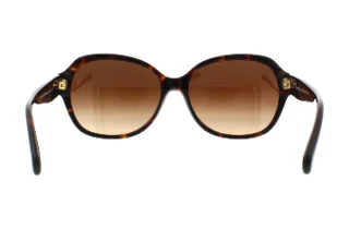Coach Sunglasses HC8150 L133