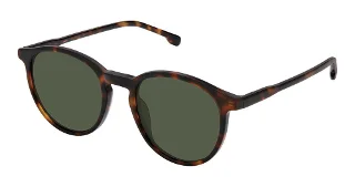 S412-Sfs-2042 Tortoise
