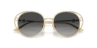 Jimmy Choo Sunglasses JC4003HB