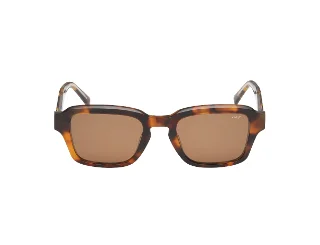 Abercrombie & Fitch Sunglasses AF00036