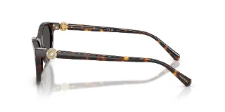 Swarovski Sunglasses SK6070F