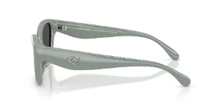 Coach Sunglasses HC8434U