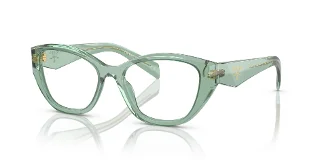 11R1O1 Transparent Sage