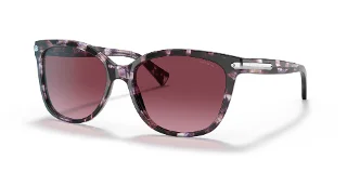 Coach Sunglasses HC8132