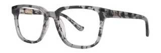 Black Tortoise