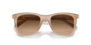 Coach Sunglasses HC8374U