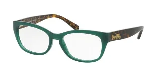 5451 Teal/Dark Tort Gold Sig C