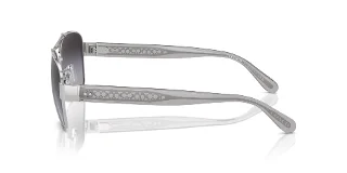 Coach Sunglasses HC7161