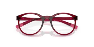 Dolce & Gabbana Eyeglasses DX5095