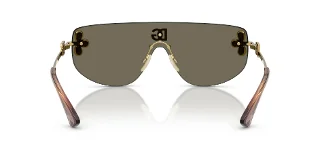 Dolce & Gabbana Sunglasses DG2333B