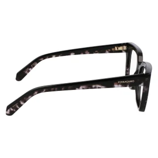 Salvatore Ferragamo Eyeglasses SF3010