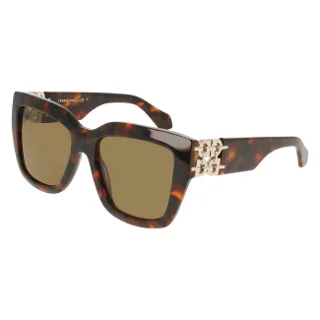 219 Brown Tortoise