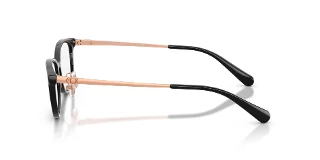 Coach Eyeglasses HC6295D