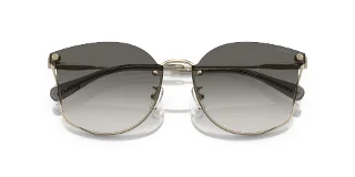 Coach Sunglasses HC7151D