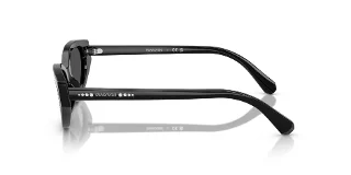 Swarovski Sunglasses SK6030F