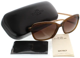 Coach Sunglasses HC8152 L136