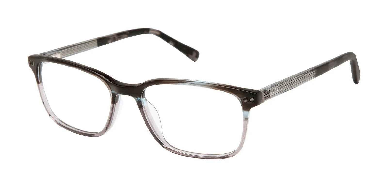 Ted Baker Eyeglasses TFM019