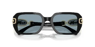 Coach Sunglasses HC8425U