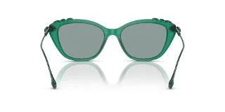 Swarovski Sunglasses SK6010