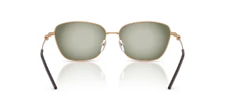 Emporio Armani Sunglasses EA2170