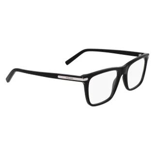 Salvatore Ferragamo Eyeglasses SF2959N