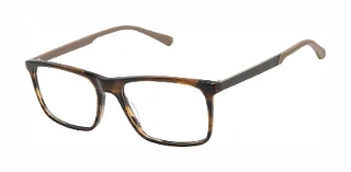 101 Brown