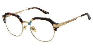 C0101 Tortoise