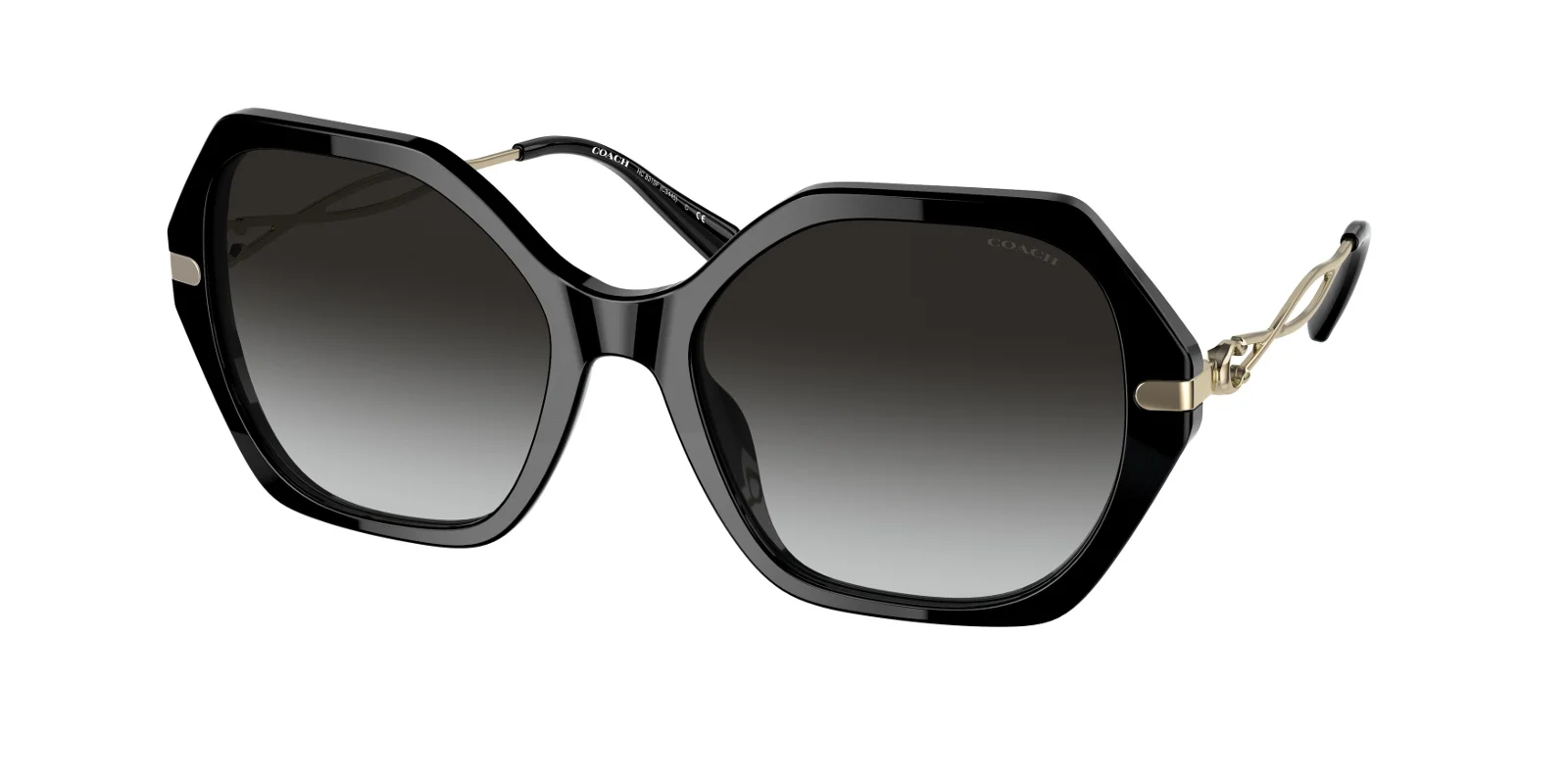 Coach Sunglasses HC8315F