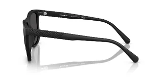 Coach Sunglasses HC8427U