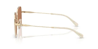 Coach Sunglasses HC7180D