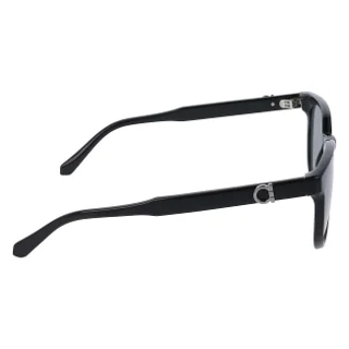 Salvatore Ferragamo Sunglasses SF2059SE
