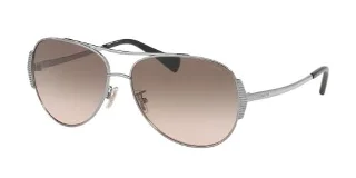 Coach Sunglasses HC7067 L1590