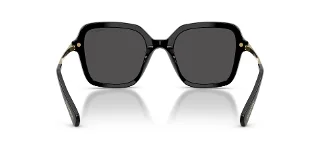 Swarovski Sunglasses SK6040