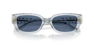 Coach Sunglasses HC8439U