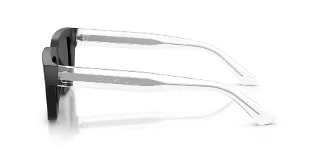Emporio Armani Sunglasses EA4270