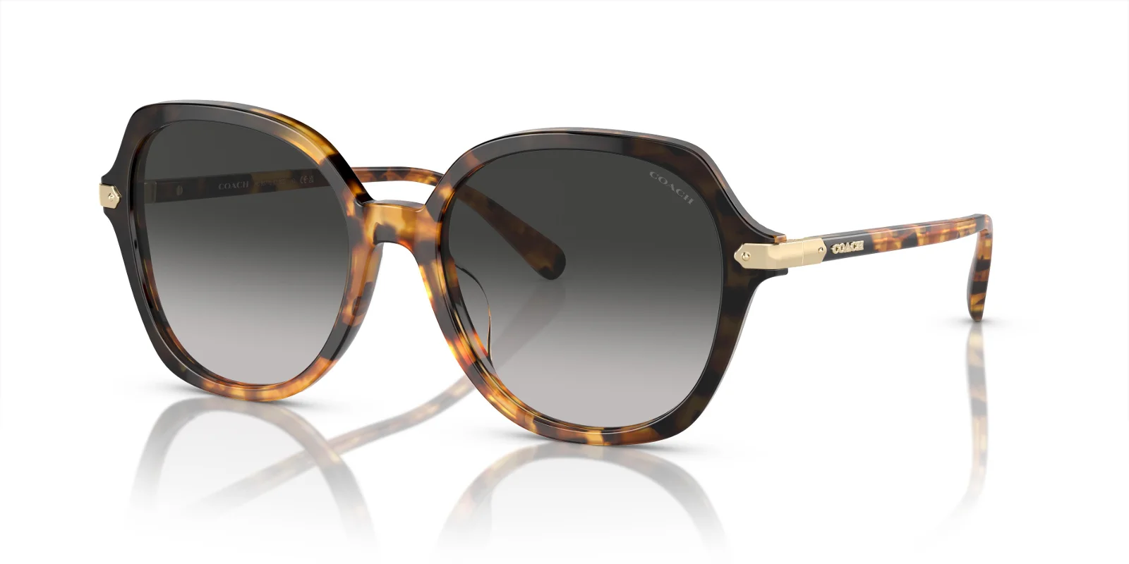 Coach Sunglasses HC8377U