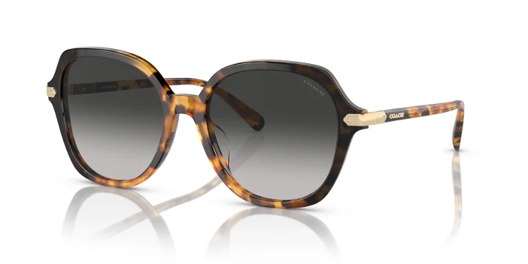 Coach Sunglasses HC8377U