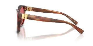 Dolce & Gabbana Sunglasses DG4533