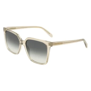 313 Transparent Sage